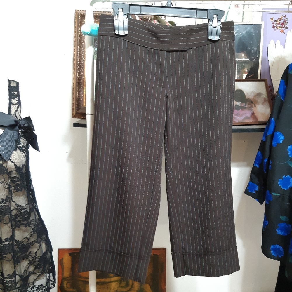 Womens Slacks suit pants Sz 3 Short Midcalf Vertical Stripes RUBY ROX Cute Fit